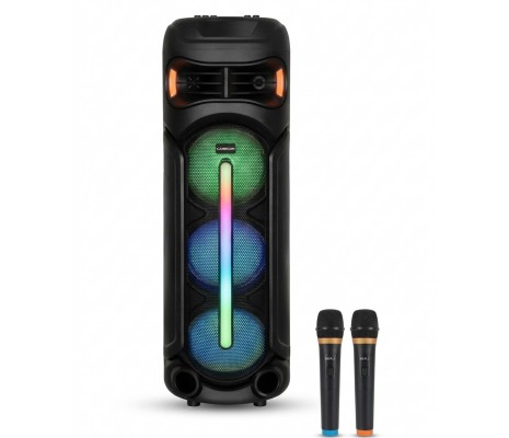 Carboon CB-100 Profosyonel Işıklı Çift Kablosuz Mikrofonlu Müzik Kutusu